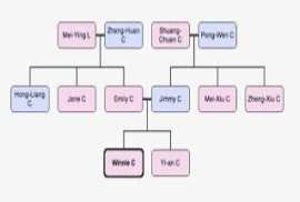 My Family Tree 6