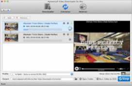 Free Any Video Downloader