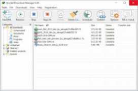 Internet Download Manager IDM 6