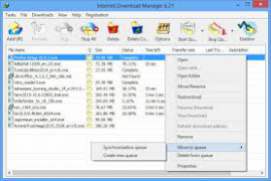 Internet Download Manager IDM 6